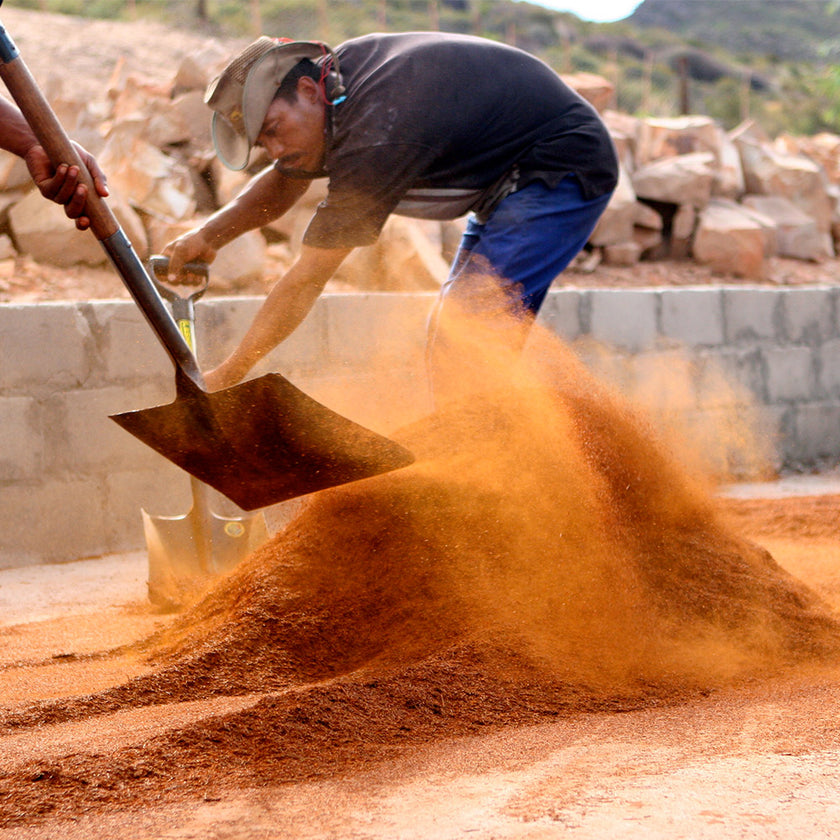 Organic Rooibos Tea - Box of 20