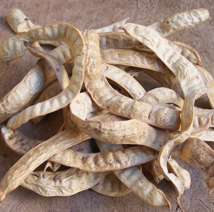 Wild Mesquite 2.5 oz