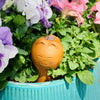 Terracotta Cat Plant Self Waterer (6&quot; H)