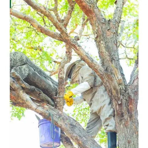 Smoked Woodland Honey - Tanzania