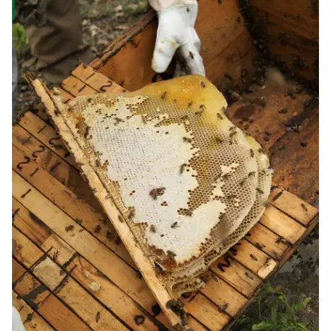 Smoked Woodland Honey - Tanzania