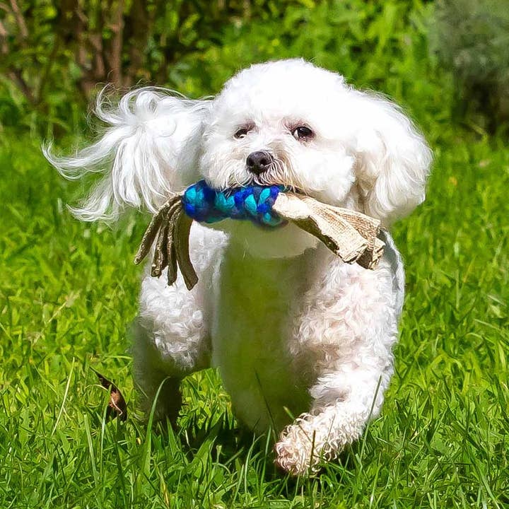 Blue/Turquoise Wool & Hemp Twist Dog Toy