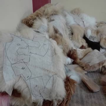 Alpaca Unicorn - Assorted