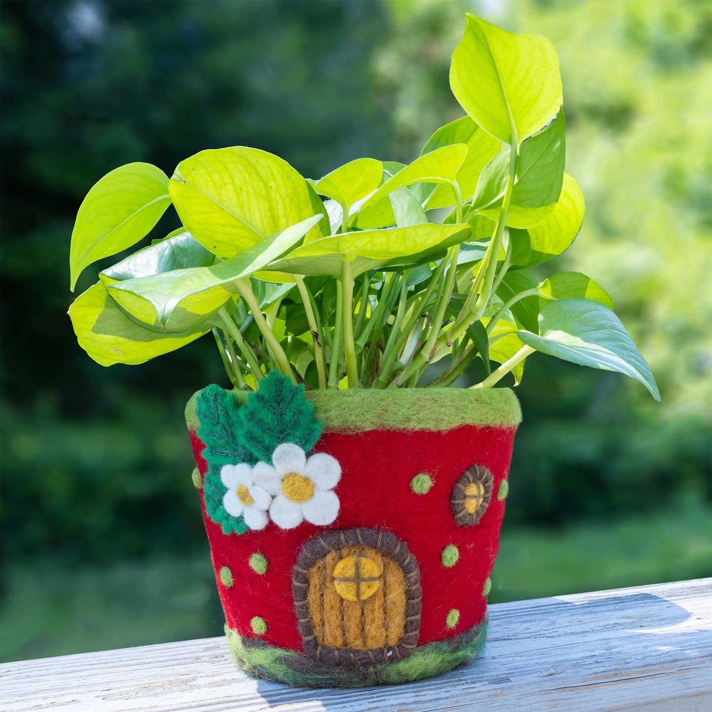 Strawberry Cottage Felt Planter (6&quot; H x 6&quot; D)