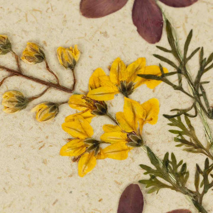 Purple &amp; Yellow Flowers Greeting Card (4.75&quot; x 6.75&quot;)