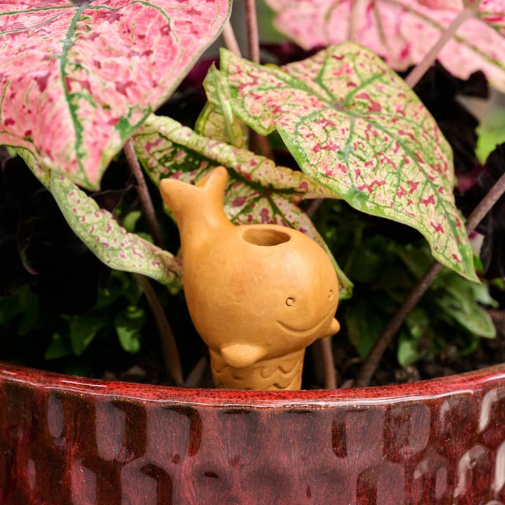 Terracotta Whale Plant Self Waterer (6" H)