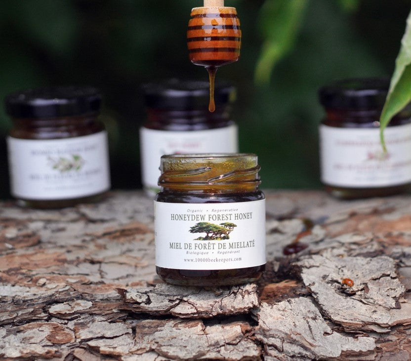 Mini Honeydew Forest Organic Honey 1.76 oz
