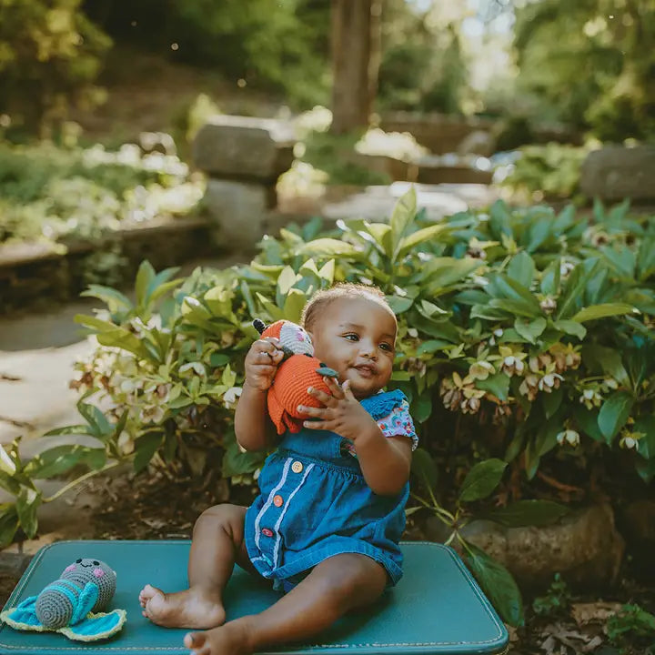 Lady Bug Rattle Crochet