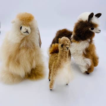 Alpaca Llama, Small