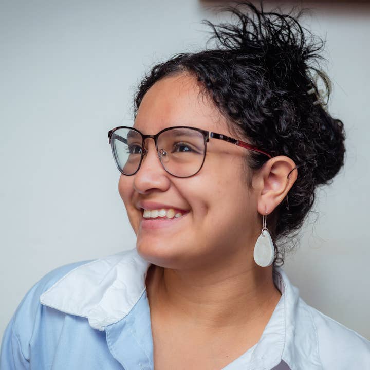 Sterling Silver Soapstone Earrings - Assorted