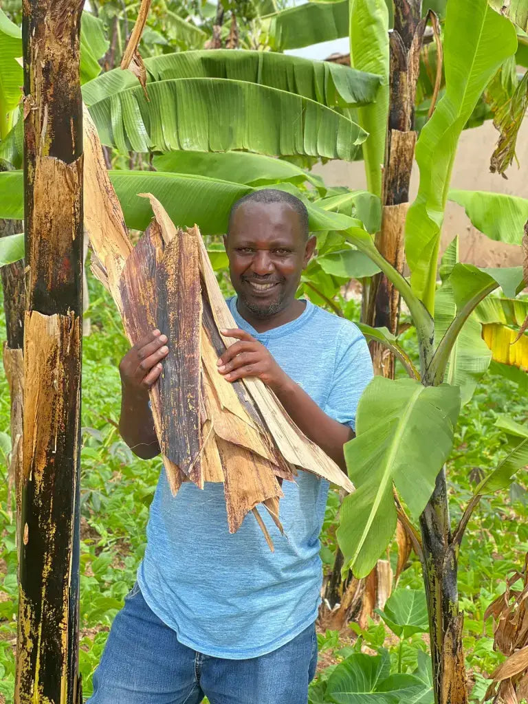 Handcrafted Banana Fiber &amp; Kitenge Sunflower Card