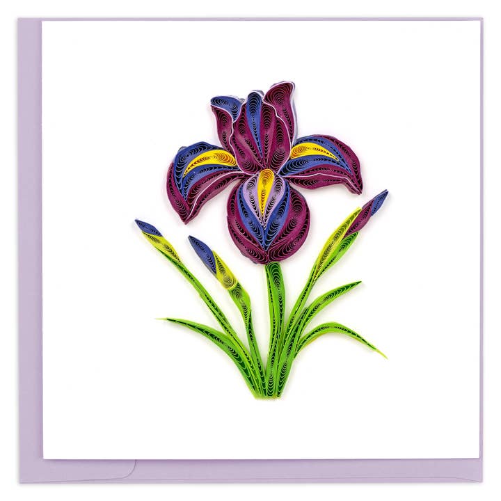 Quilled Iris Card