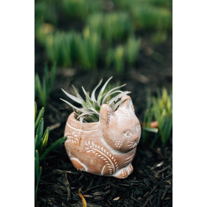 Cat Terracotta Planter (7&quot; D)