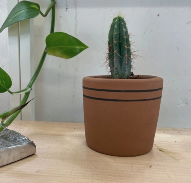 Small Terra Cotta Planter