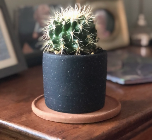 Small Black &amp; White Terra Cotta Planter