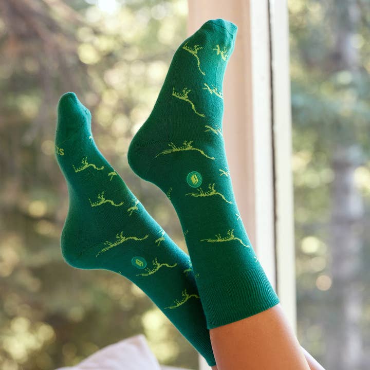 Green Give Books Dinosaur Socks