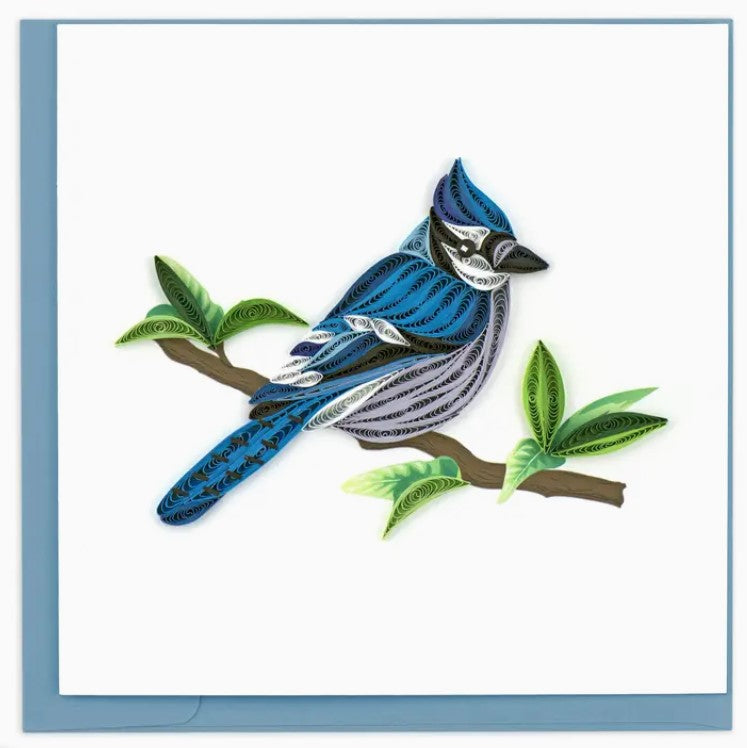 Quilled Blue Jay Greeting Card