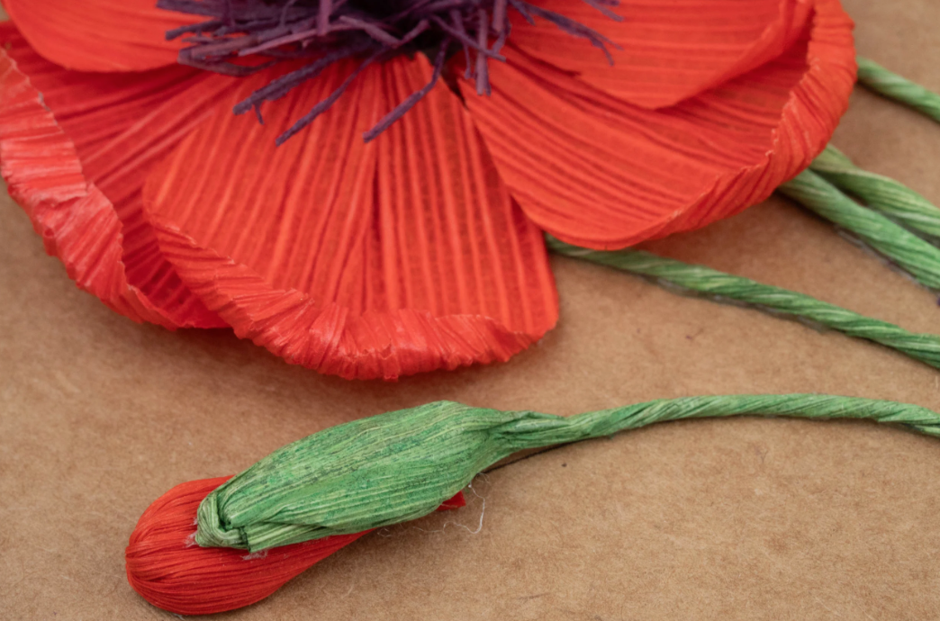 Poppies Cornhusk Greeting Card