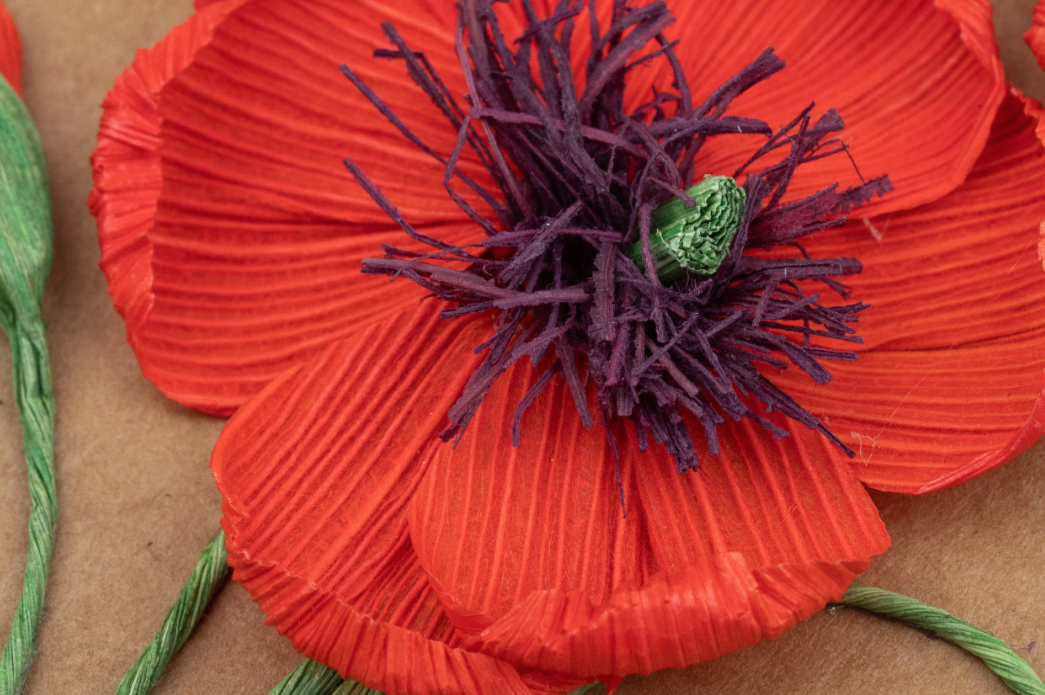 Poppies Cornhusk Greeting Card
