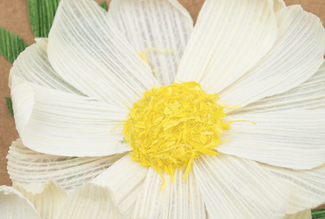 Daisies Cornhusk Greeting Card