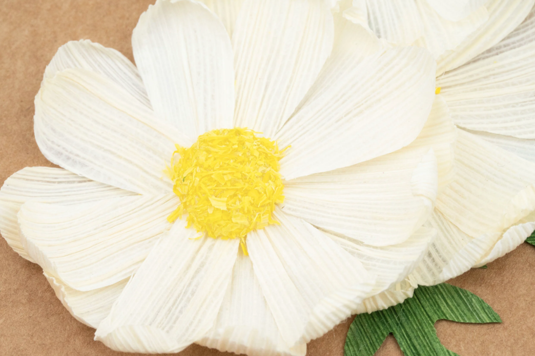 Daisies Cornhusk Greeting Card