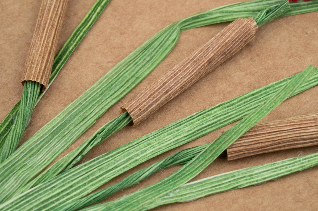 Dragonfly Cornhusk Greeting Card