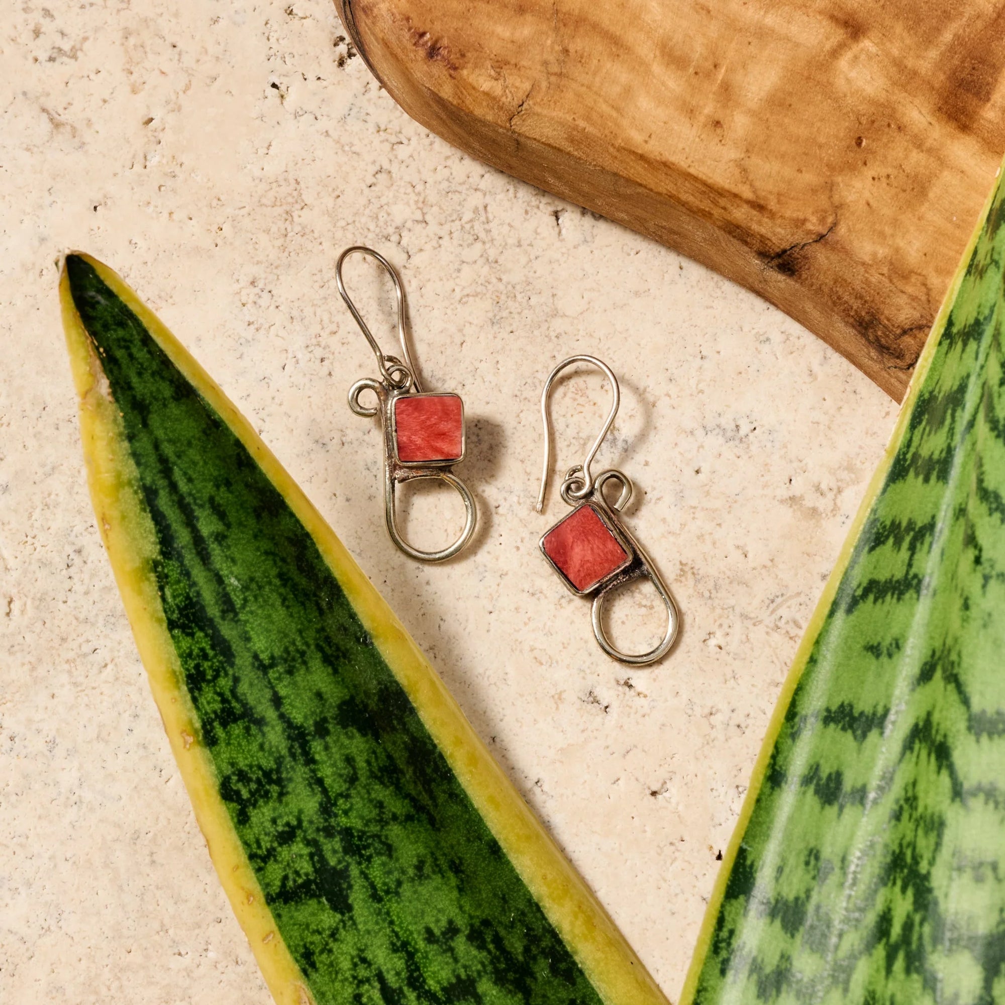 Spondylus Shell Dangle Earrings