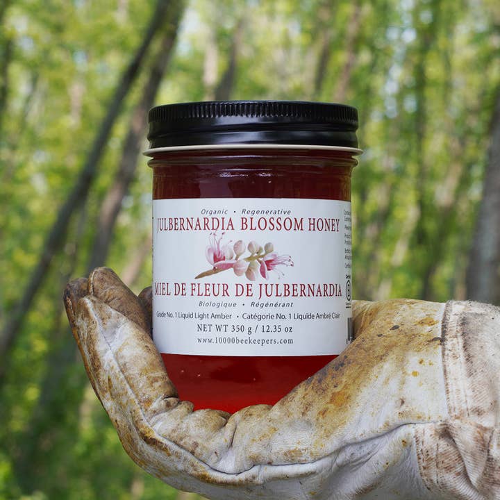 Julbernardia Blossom Organic Honey 12.35oz