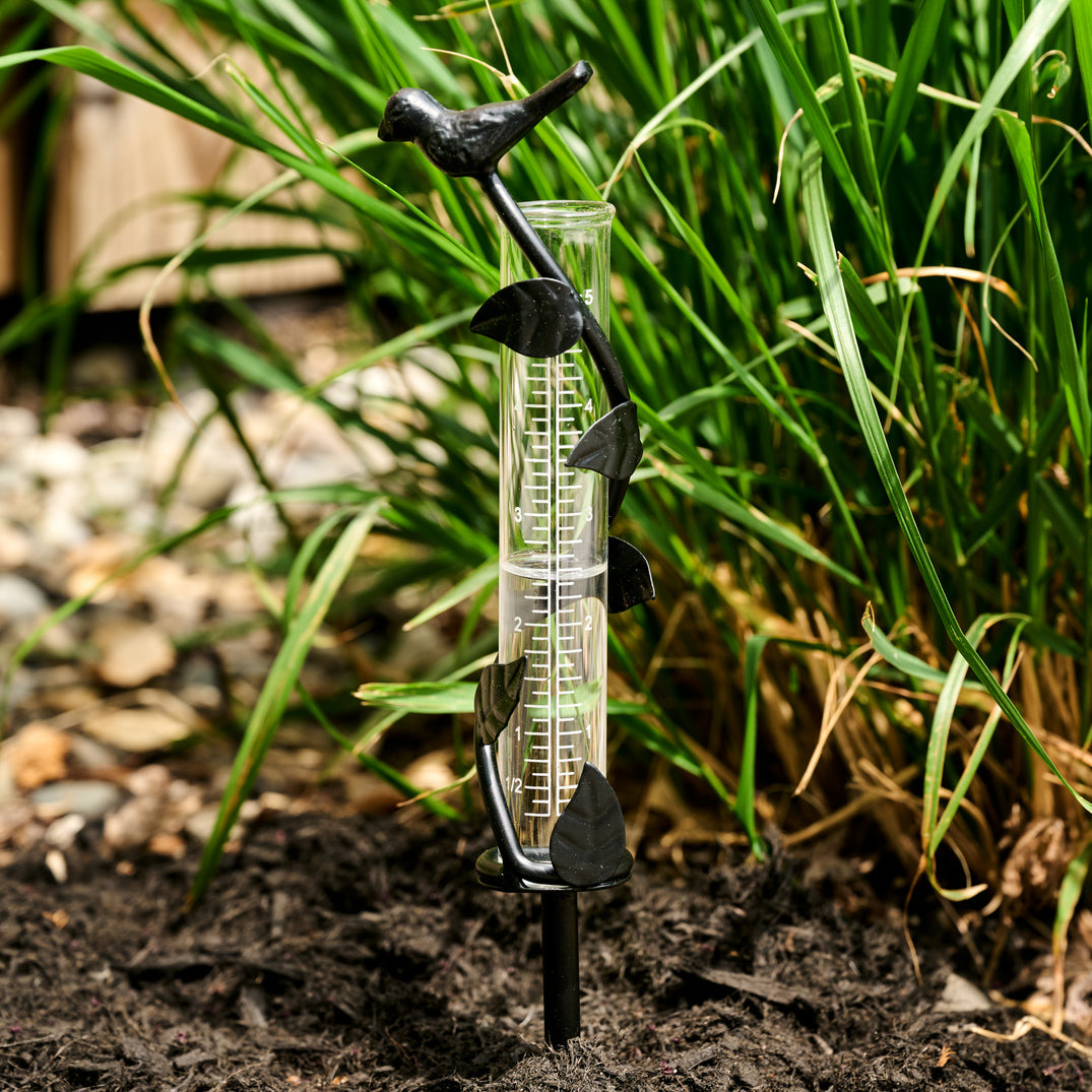 Iron & Glass Rain Gauge (1.5" D x 11" H)