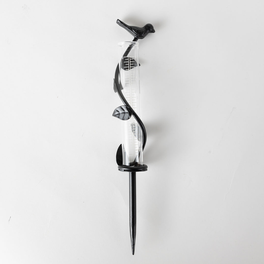 Iron &amp; Glass Rain Gauge (1.5&quot; D x 11&quot; H)