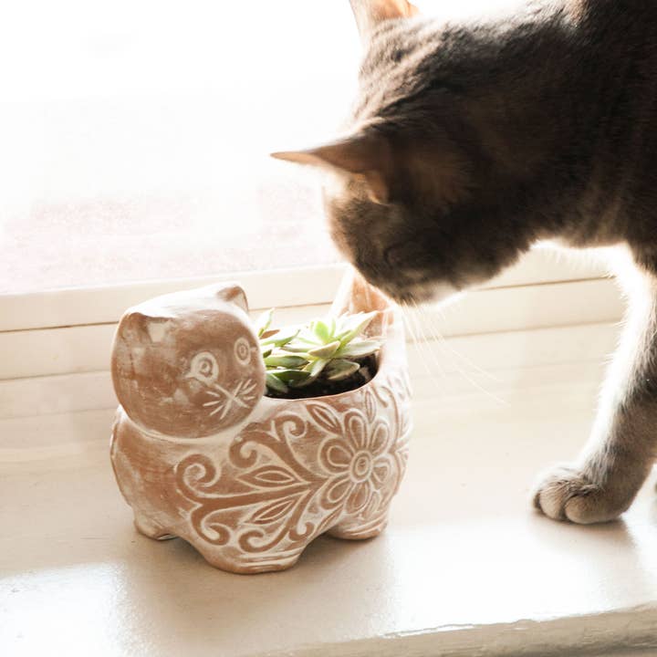 Terracotta Cat Planter, Small (5&quot; D x 4.5&quot; H)