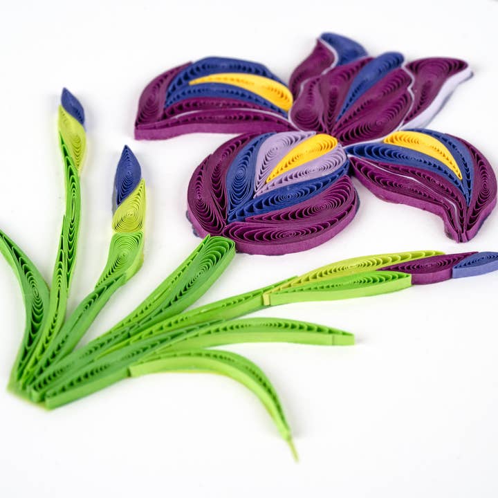 Quilled Iris Card