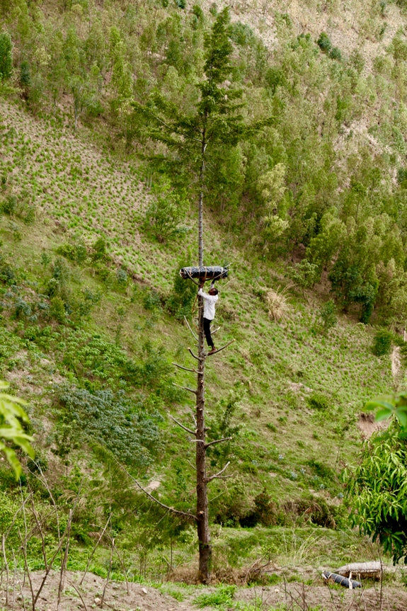 Jackfruit Beeswax Pillar Candle