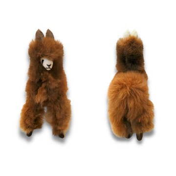 Alpaca Llama, Small