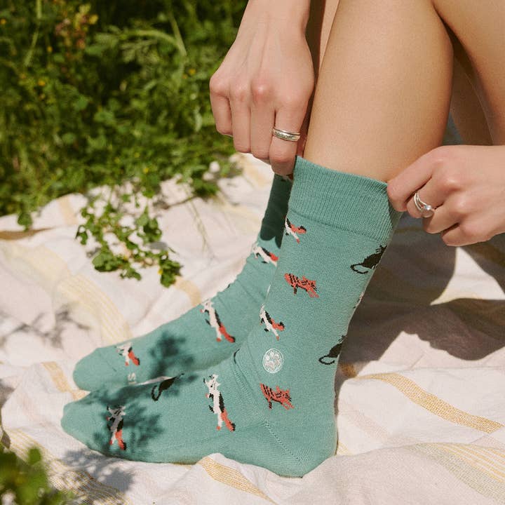 Teal Save Cats Socks