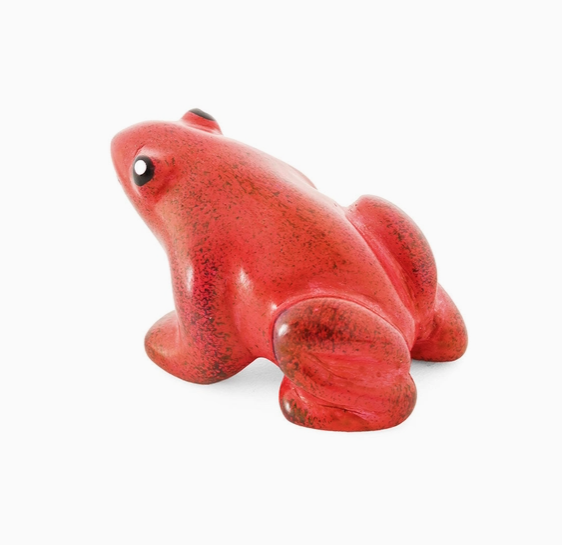 Dappled Kisii Stone Frog - Assorted