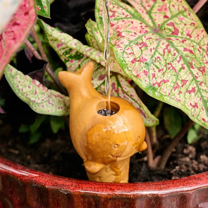 Terracotta Whale Plant Self Waterer (6&quot; H)