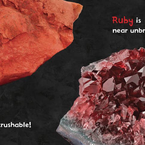 Rainbow of Rocks Book