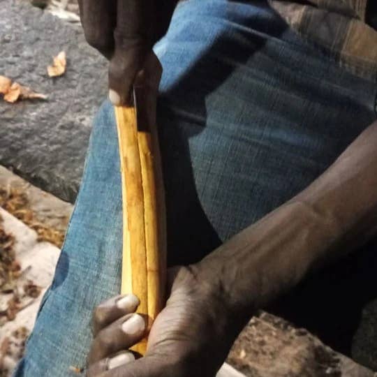 Cinnamon Quills 1.8oz