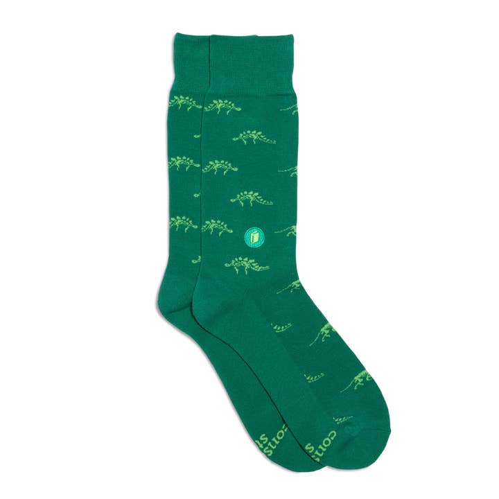 Green Give Books Dinosaur Socks