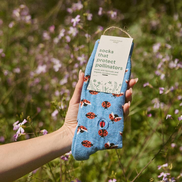 Blue Protect Ladybugs Socks