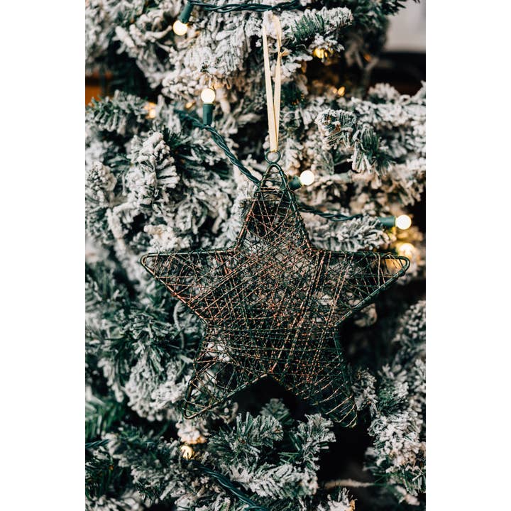 Green 3D Wire Star Iron Ornament (9&quot; D)