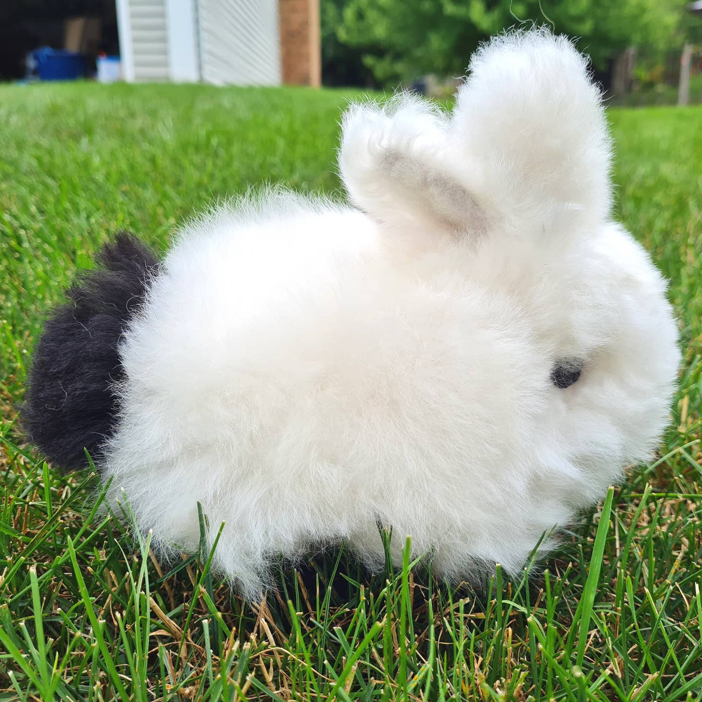 Alpaca Rabbit Plush Toy