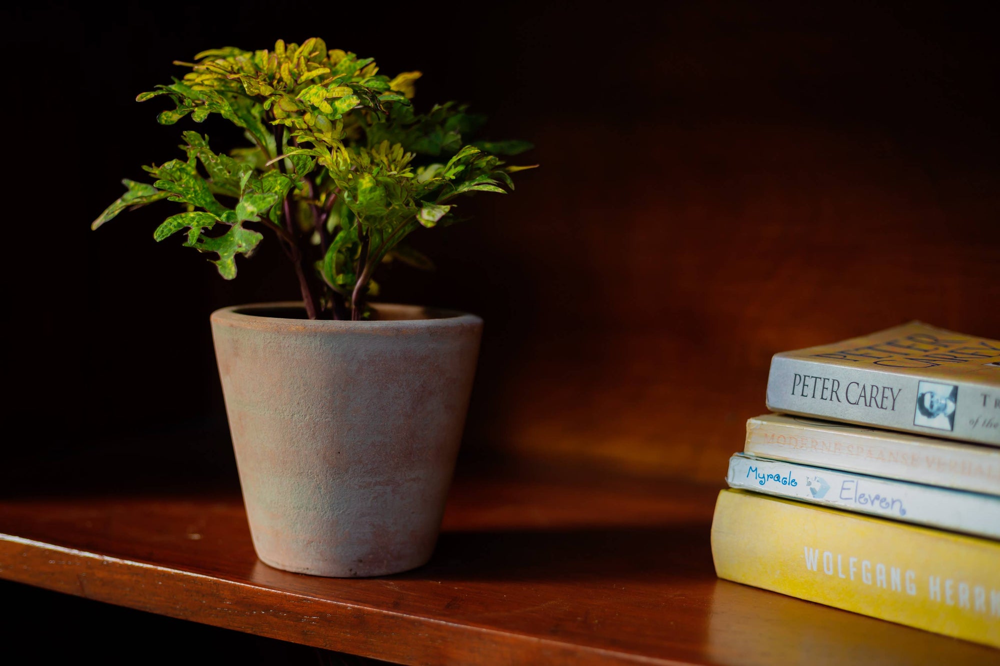 Concrete-washed Terracotta Planter (Small)