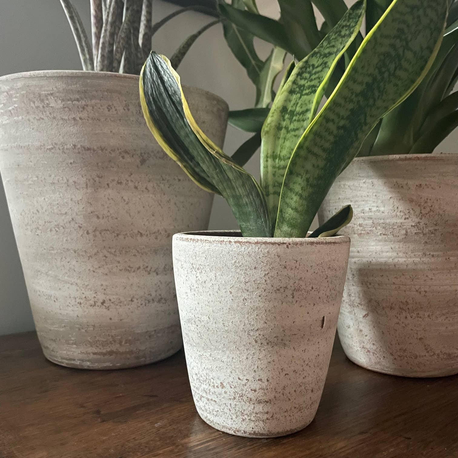 Concrete White-washed Terracotta Planter (Medium)