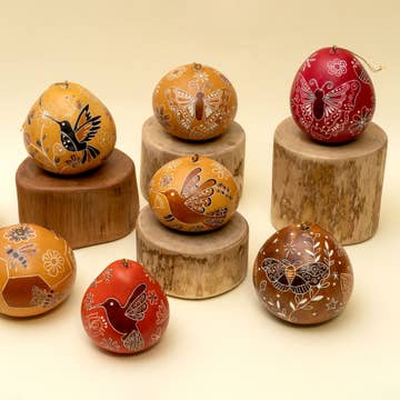 Pollinator Gourd Ornament - Assorted