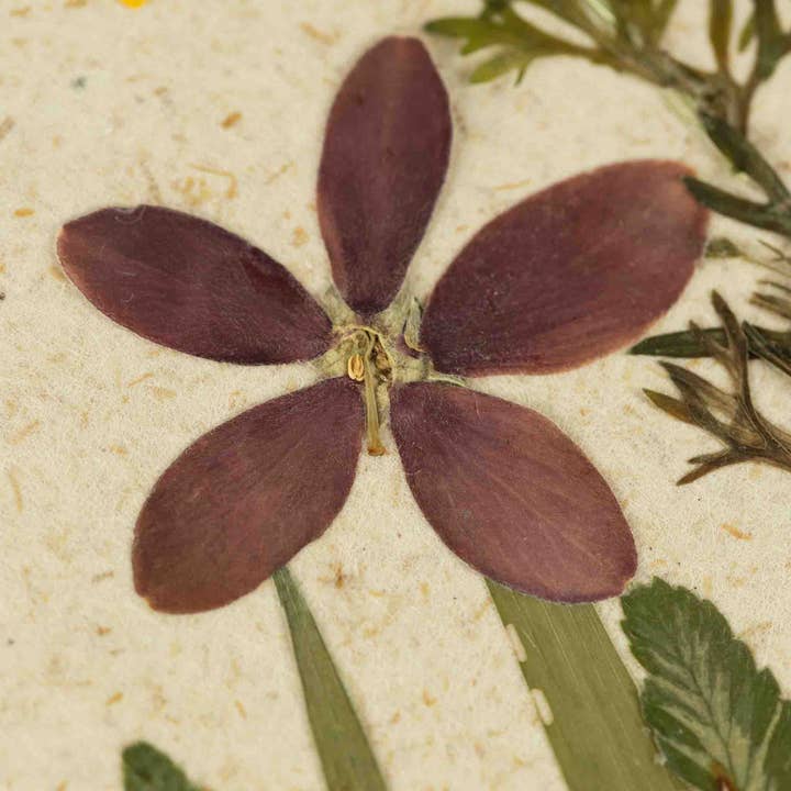 Purple &amp; Yellow Flowers Greeting Card (4.75&quot; x 6.75&quot;)