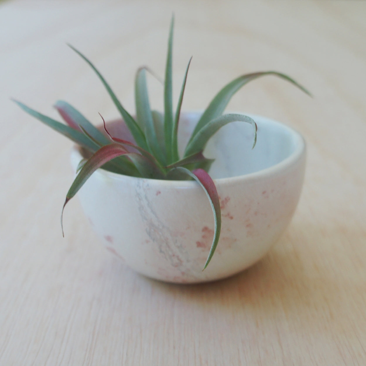 Small Round Natural Kisii Stone Bowl