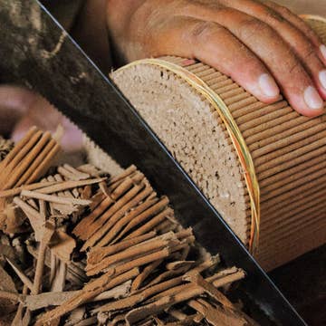 Early Morning Incense (6&quot; L) - Set Of 19