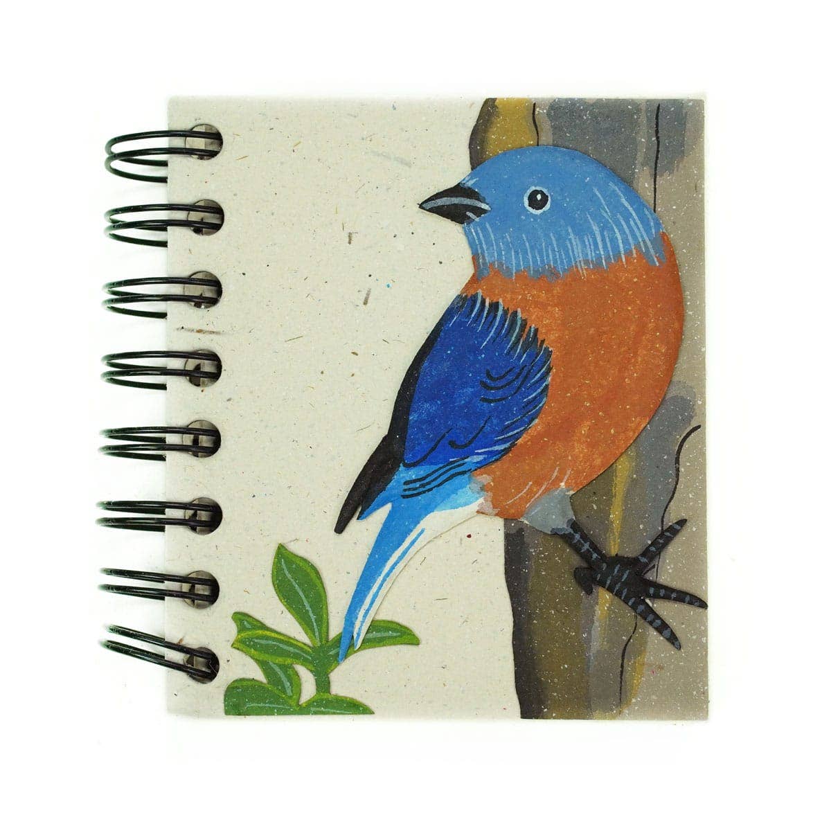 Elephant Dung Paper Notebook, Small (3.5&quot; x 4&quot;) - Assorted